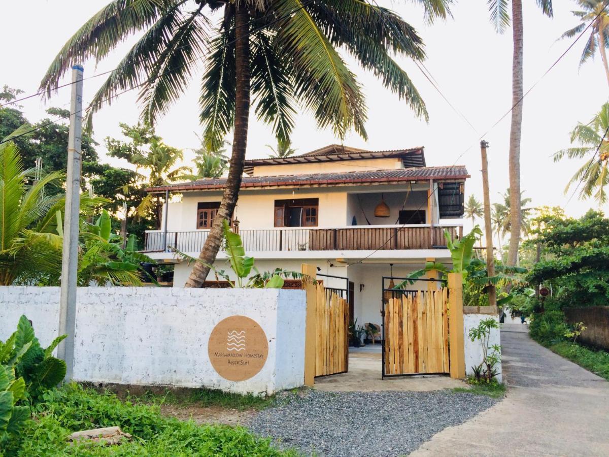 Marshmallow Homestay آهانغاما المظهر الخارجي الصورة