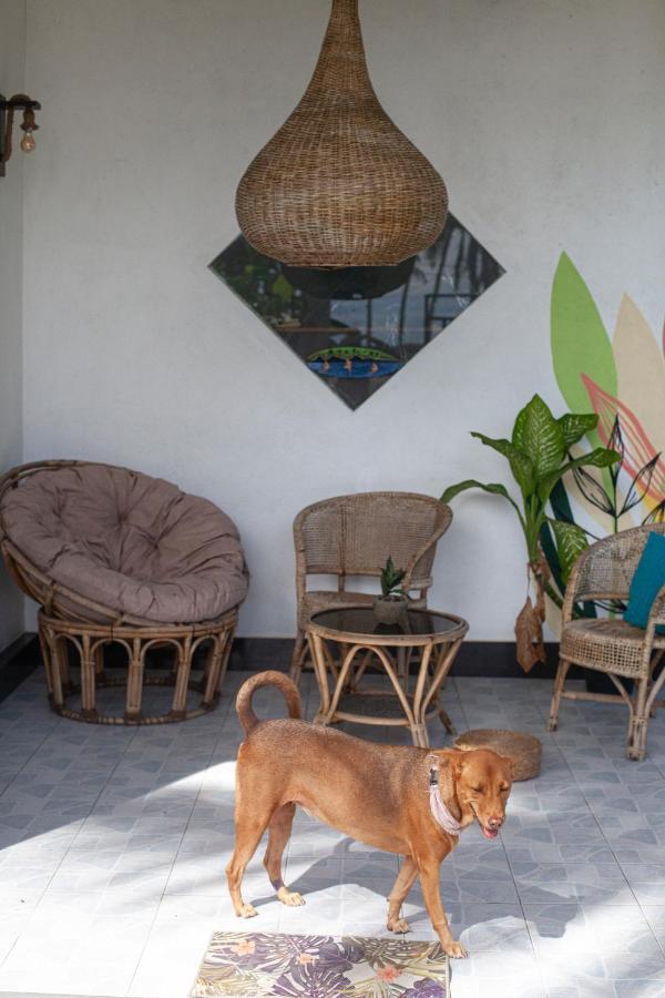 Marshmallow Homestay آهانغاما المظهر الخارجي الصورة