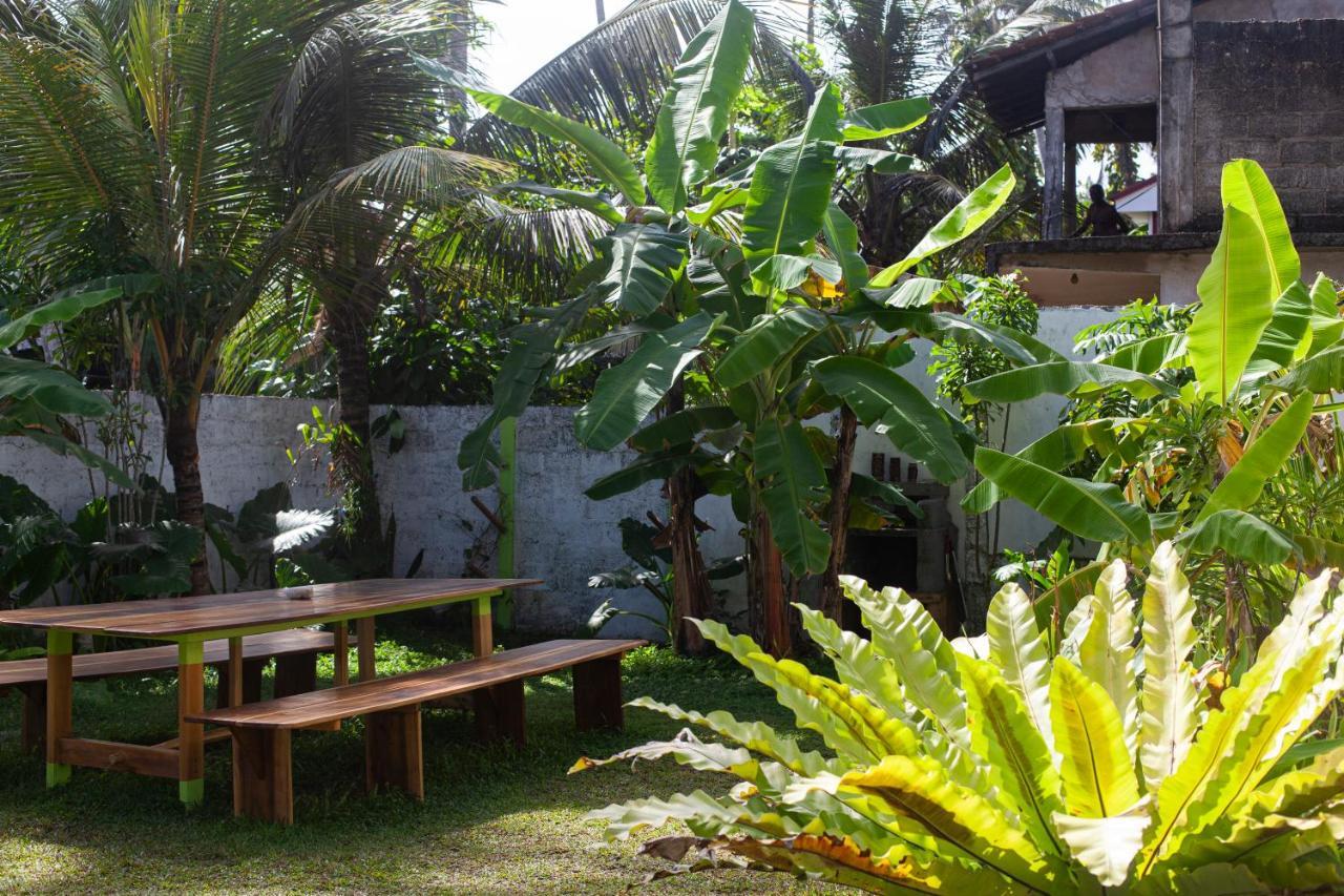 Marshmallow Homestay آهانغاما المظهر الخارجي الصورة