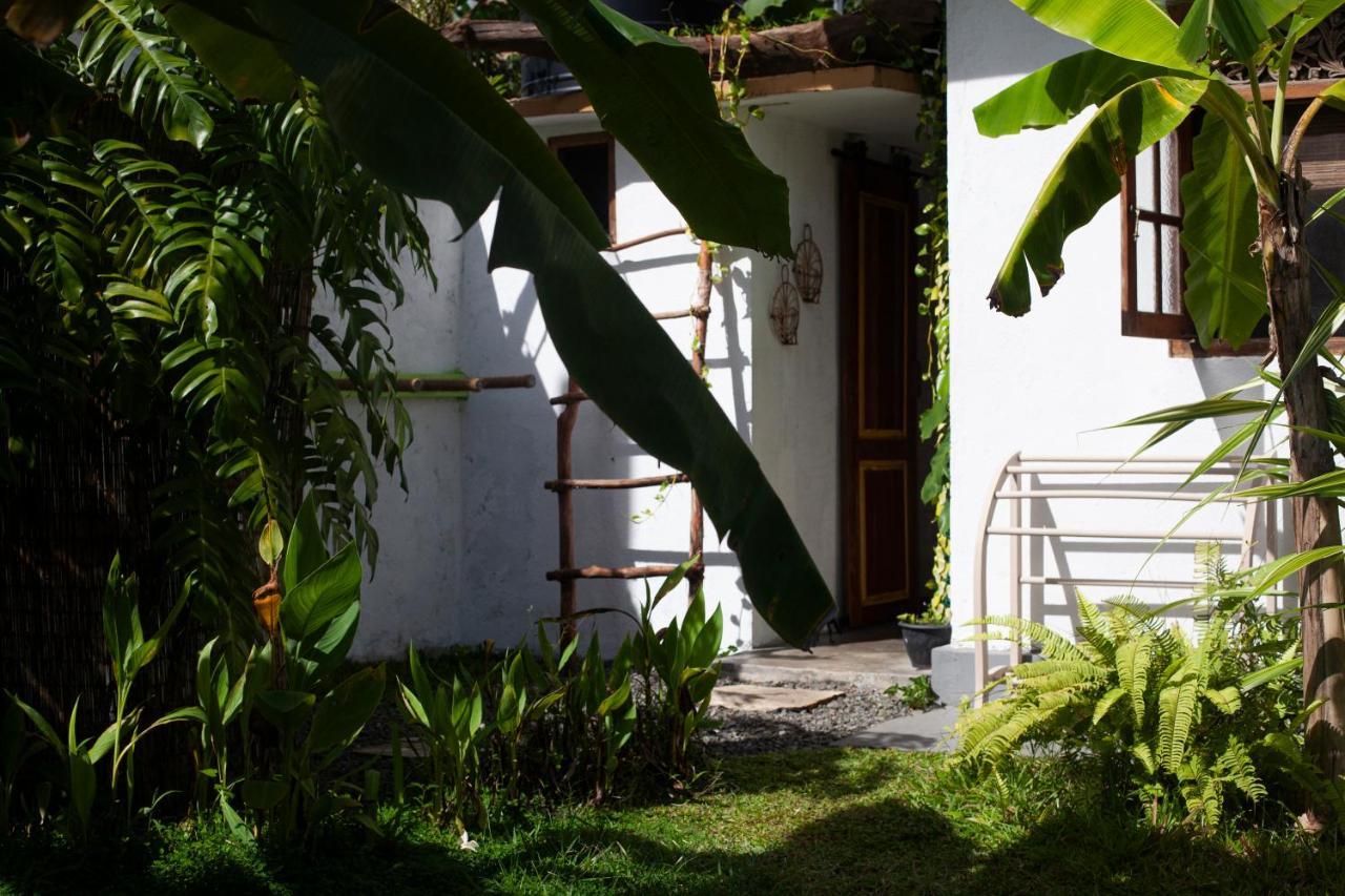 Marshmallow Homestay آهانغاما المظهر الخارجي الصورة