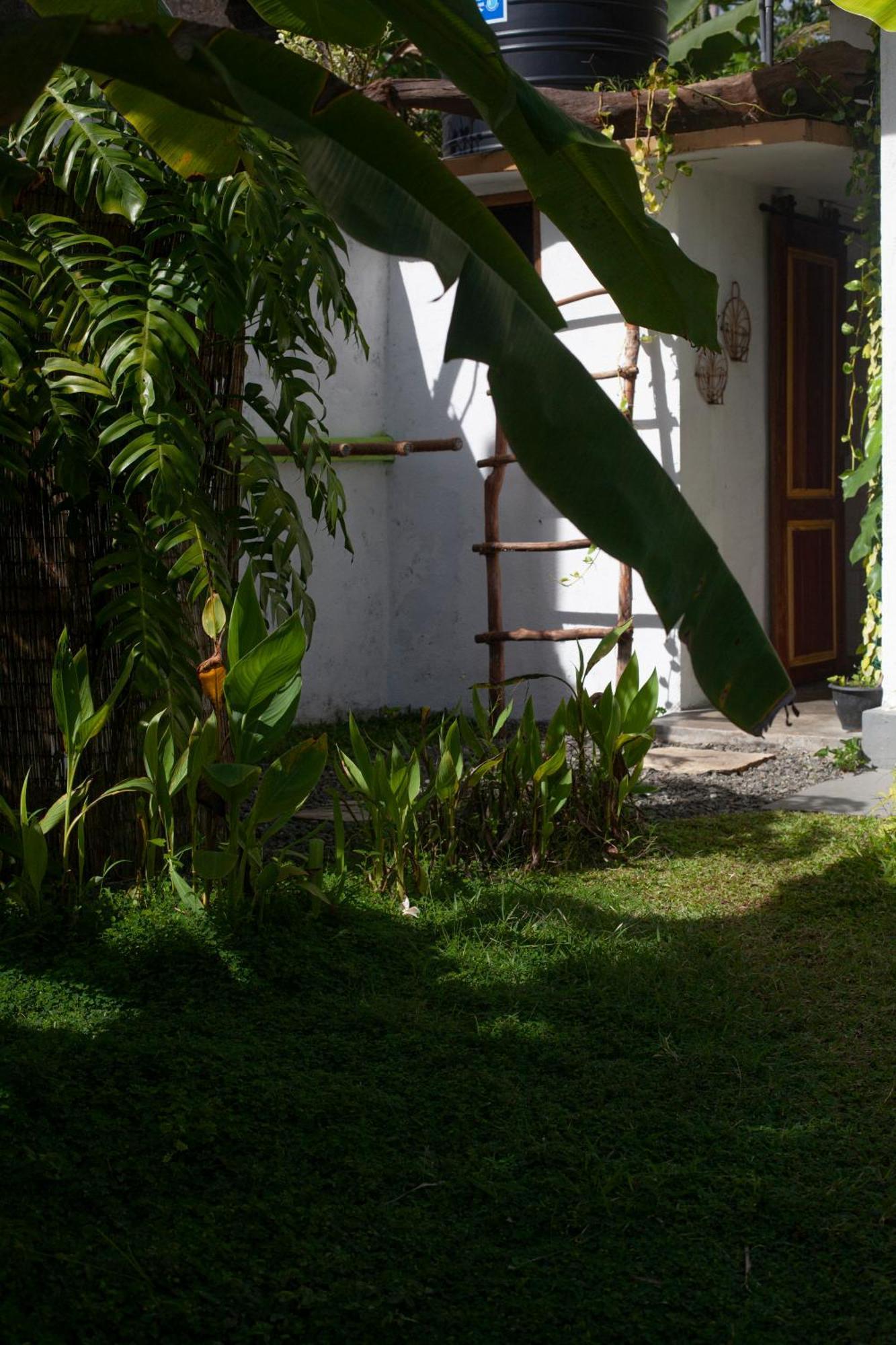 Marshmallow Homestay آهانغاما المظهر الخارجي الصورة